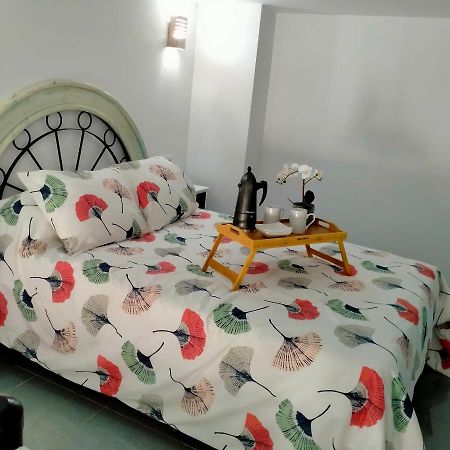 Precioso Loft En Conil De La Frontera Daire Dış mekan fotoğraf